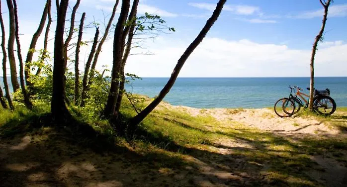 Premium Dune W Porto *